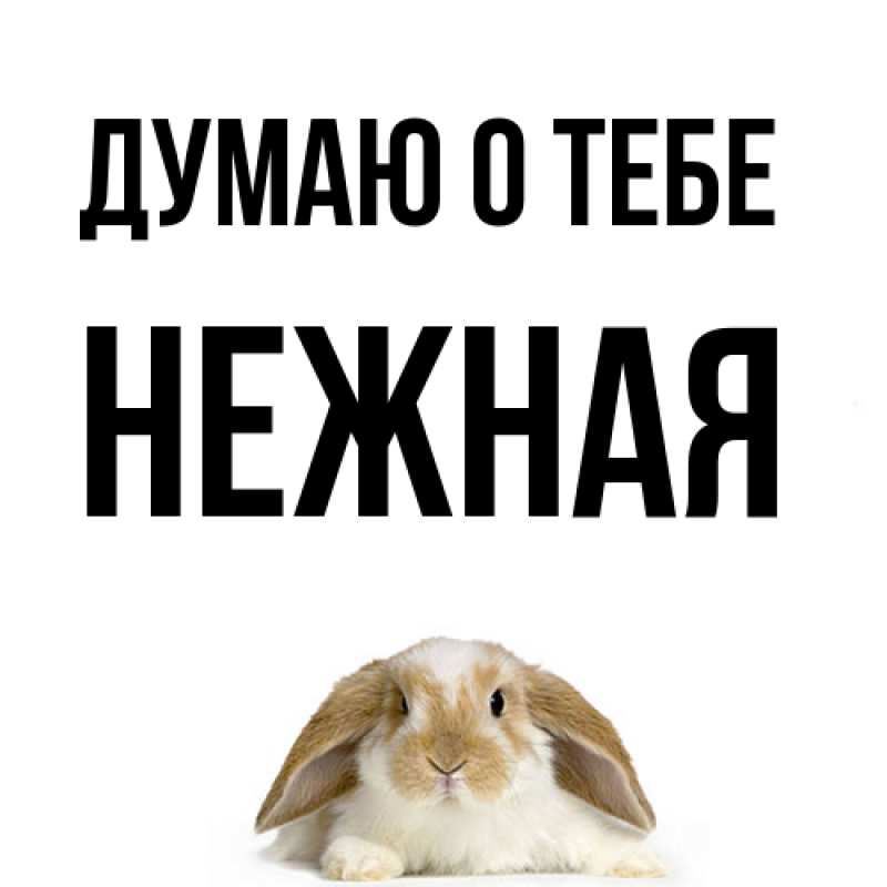 Картинка Думаю о тебе, Нежная