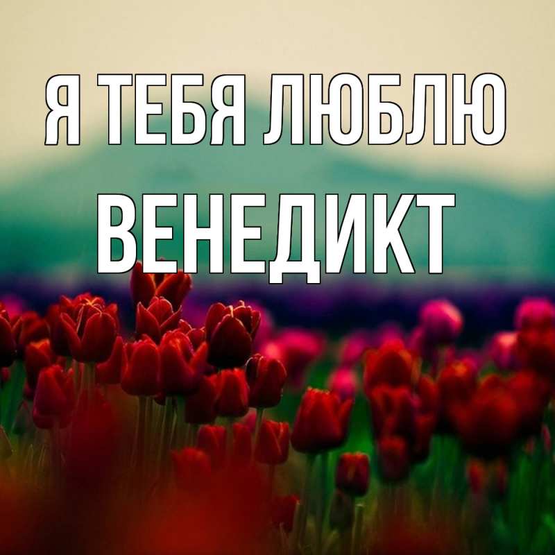 Картинка Я тебя люблю, Венедикт