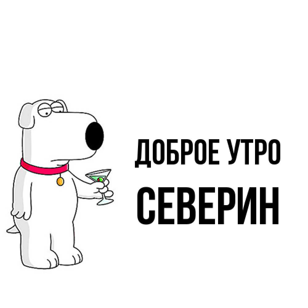 Открытка на каждый день с именем, Северин Доброе утро герои мультфильмов белый пес Прикольная открытка с пожеланием онлайн скачать бесплатно 
