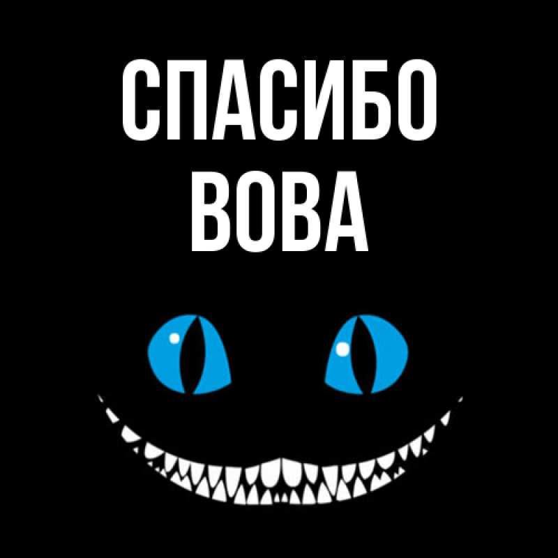 Картинка Спасибо, Вова