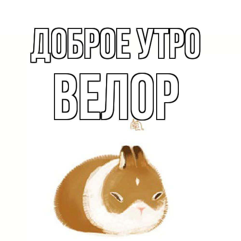 Открытка на каждый день с именем, Велор Доброе утро хорошего утречка Прикольная открытка с пожеланием онлайн скачать бесплатно 