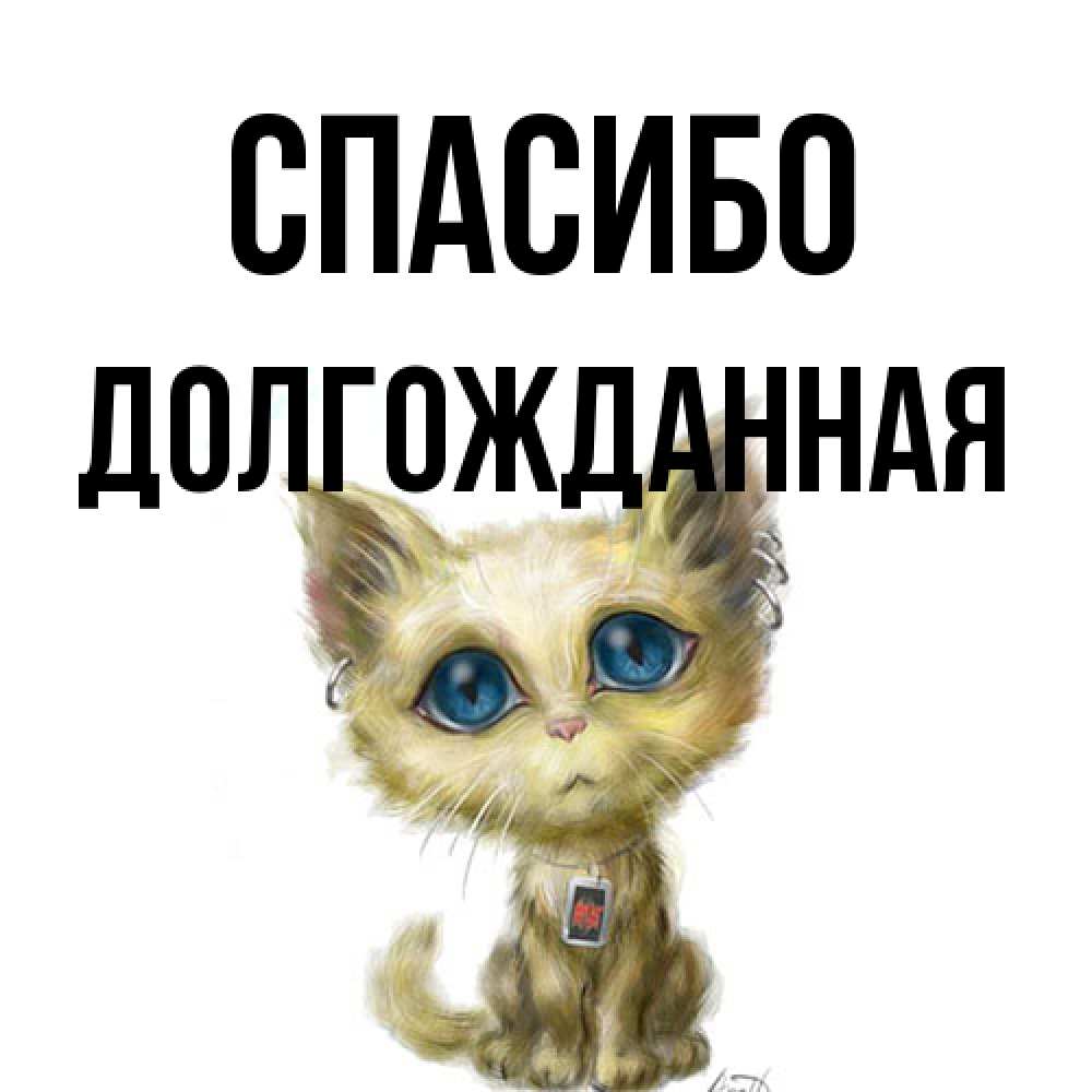 Открытка на каждый день с именем, Долгожданная Спасибо рисованный кот благодарит вас Прикольная открытка с пожеланием онлайн скачать бесплатно 