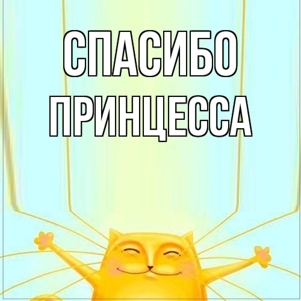 Открытка на каждый день с именем, Принцесса Спасибо кот с усами благодарит Прикольная открытка с пожеланием онлайн скачать бесплатно 
