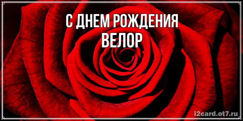 Картинка С днем рождения, Велор