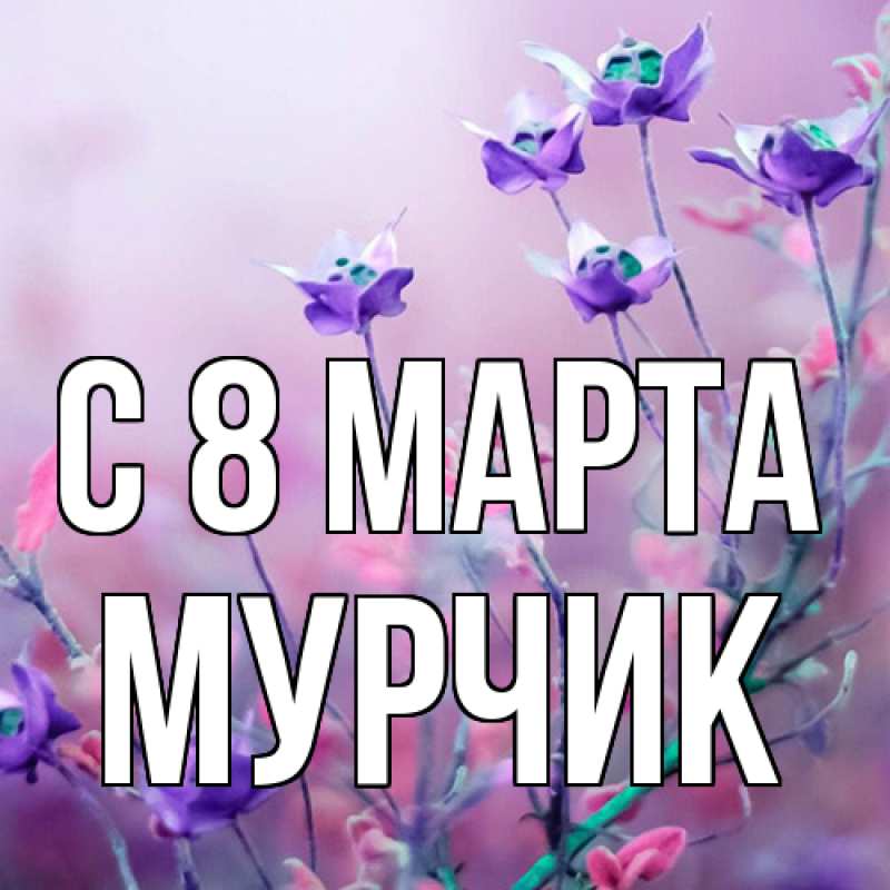 Картинка C 8 МАРТА, Мурчик
