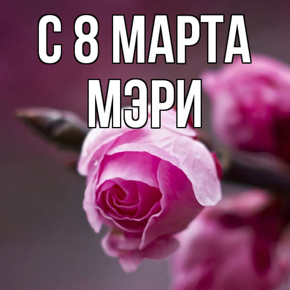 Открытка на каждый день с именем, Мэри C 8 МАРТА весна Прикольная открытка с пожеланием онлайн скачать бесплатно 