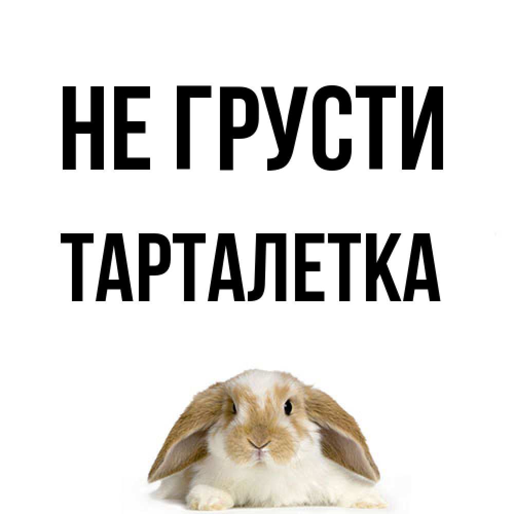 Открытка на каждый день с именем, Тарталетка Не грусти коричнево белый заяц с большими ушками Прикольная открытка с пожеланием онлайн скачать бесплатно 