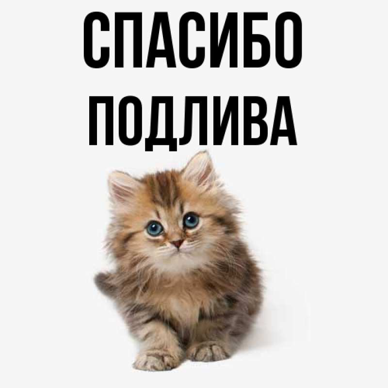 Картинка Спасибо, Подлива
