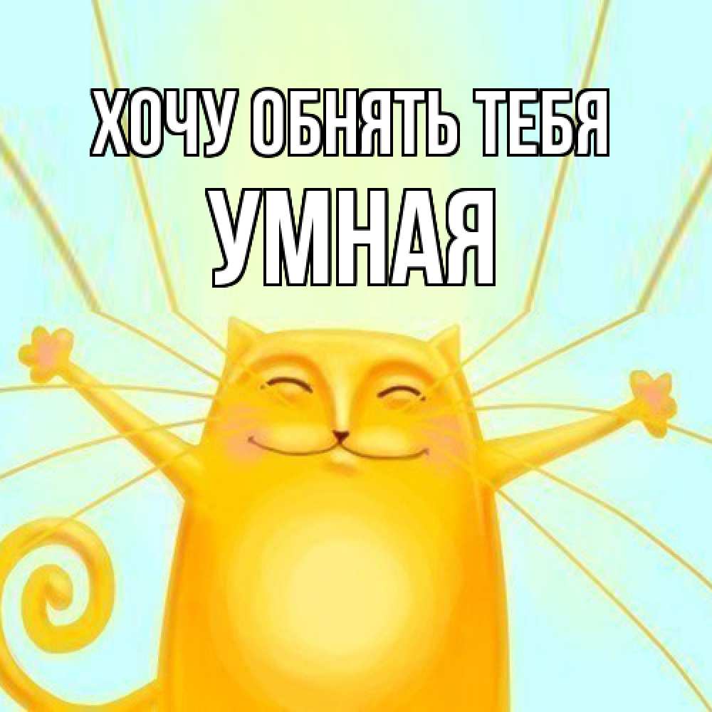 Открытка на каждый день с именем, Умная Хочу обнять тебя солнечный обнимашечный кот Прикольная открытка с пожеланием онлайн скачать бесплатно 