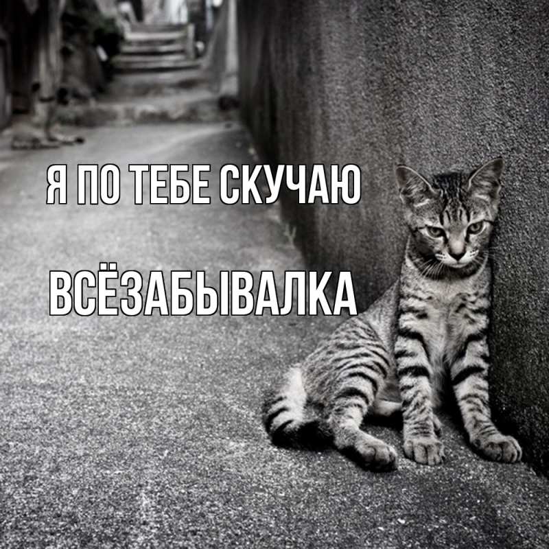 Картинка Я по тебе скучаю, Всёзабывалка