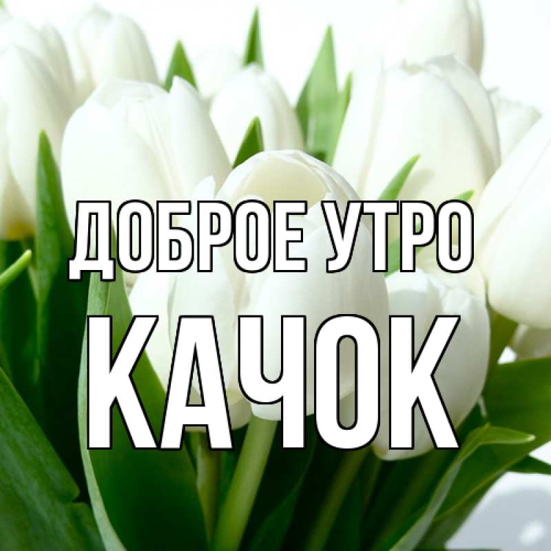 Картинка Доброе утро, Качок