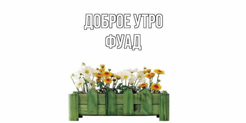 Картинка Доброе утро, Фуад
