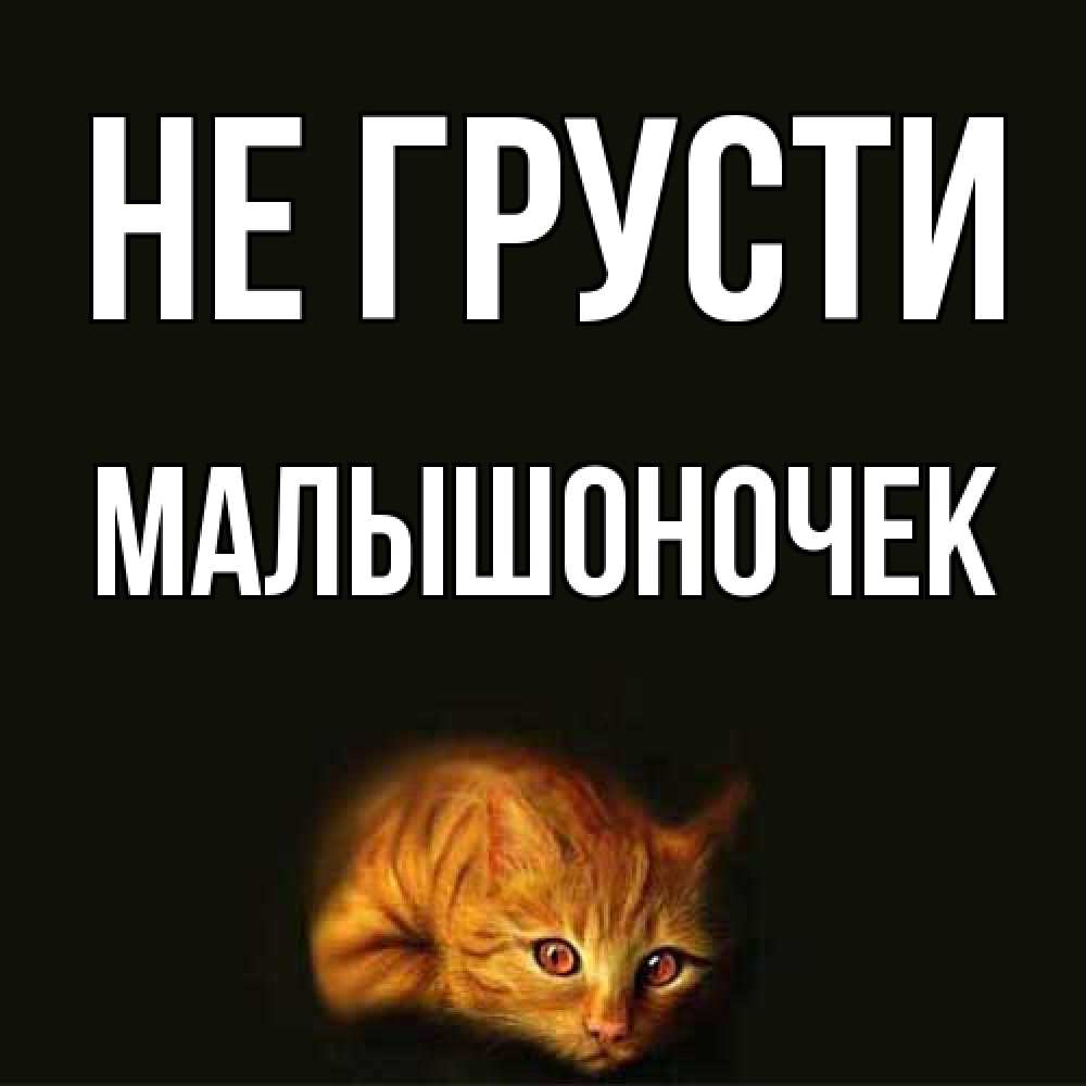 Открытка на каждый день с именем, Малышоночек Не грусти лежащий кот в темноте Прикольная открытка с пожеланием онлайн скачать бесплатно 