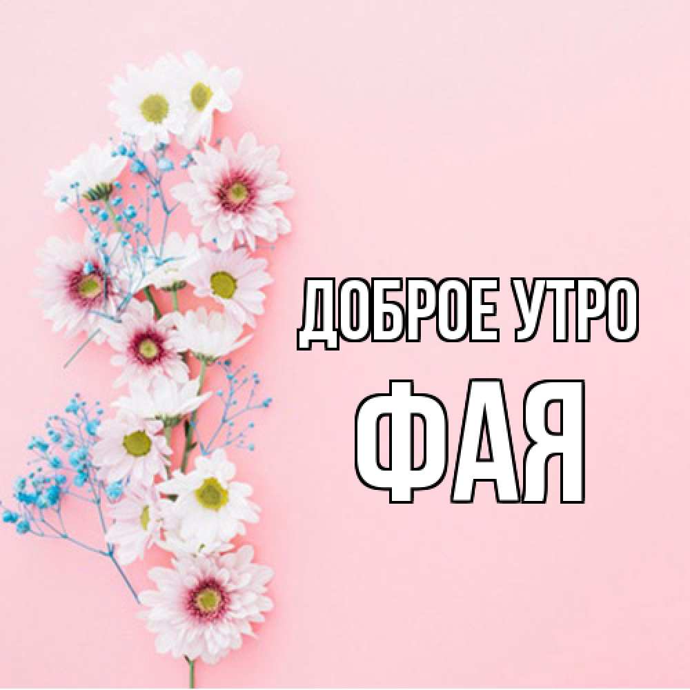 Открытка на каждый день с именем, Фая Доброе утро цветы с подписью Прикольная открытка с пожеланием онлайн скачать бесплатно 