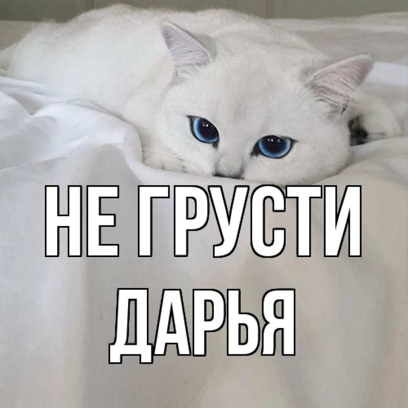 Картинка Не грусти, Дарья