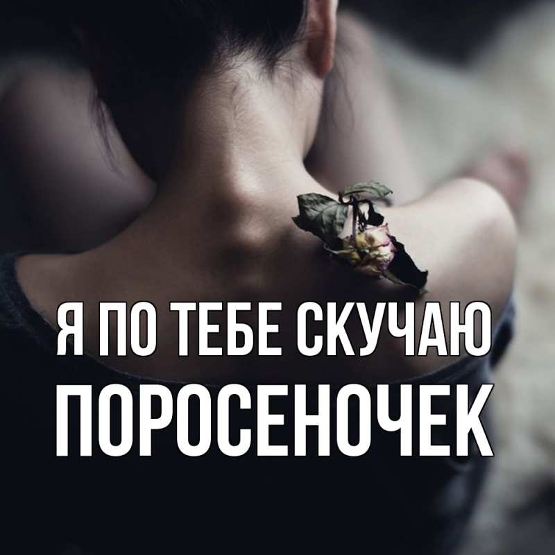 Картинка Я по тебе скучаю, поросеночек