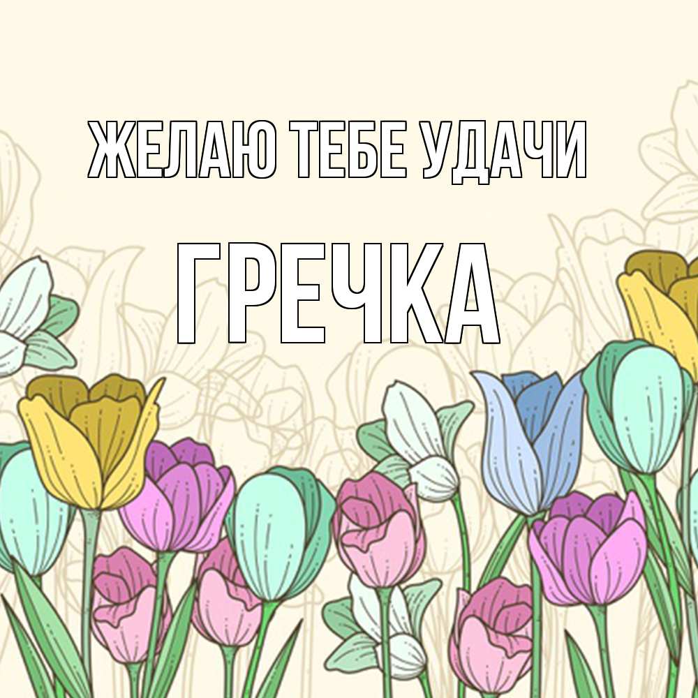Открытка на каждый день с именем, Гречка Желаю тебе удачи тюльпаны Прикольная открытка с пожеланием онлайн скачать бесплатно 