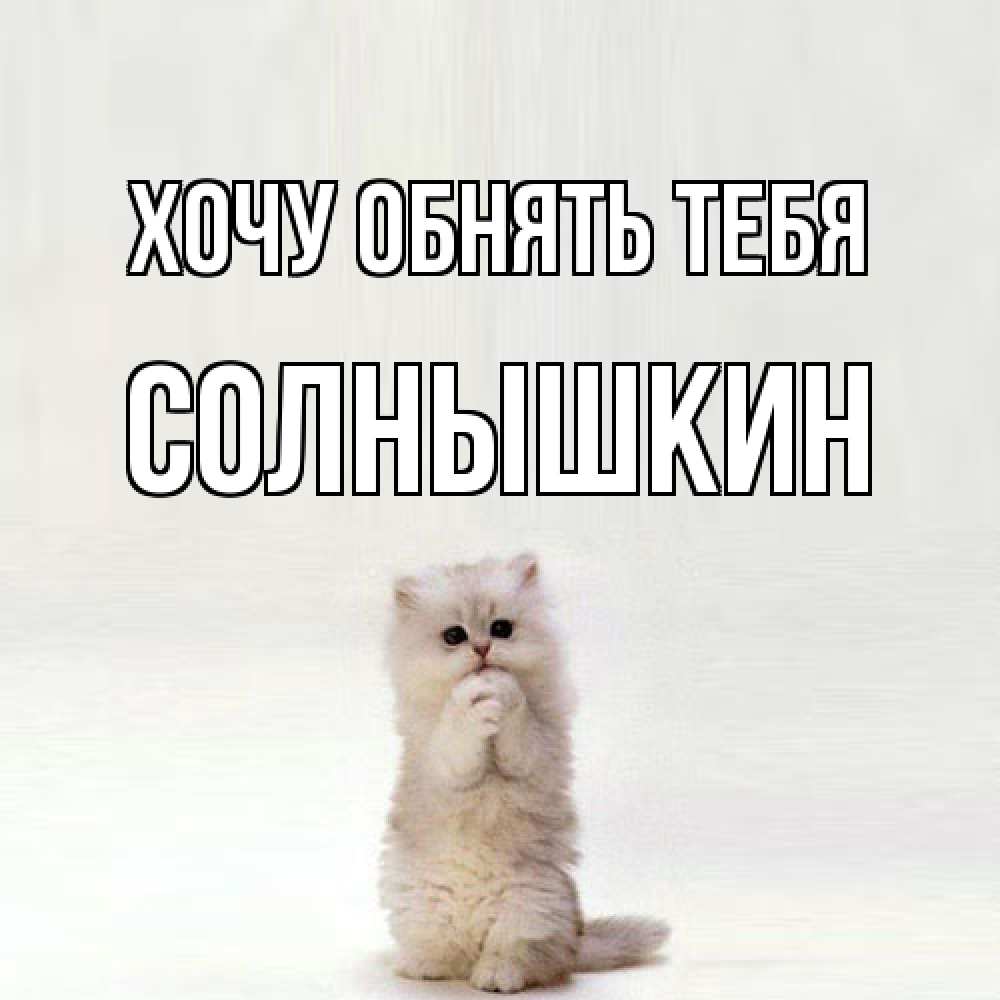 Открытка на каждый день с именем, Солнышкин Хочу обнять тебя открытки с креативными подписями Прикольная открытка с пожеланием онлайн скачать бесплатно 