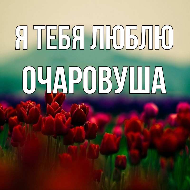 Картинка Я тебя люблю, Очаpовуша