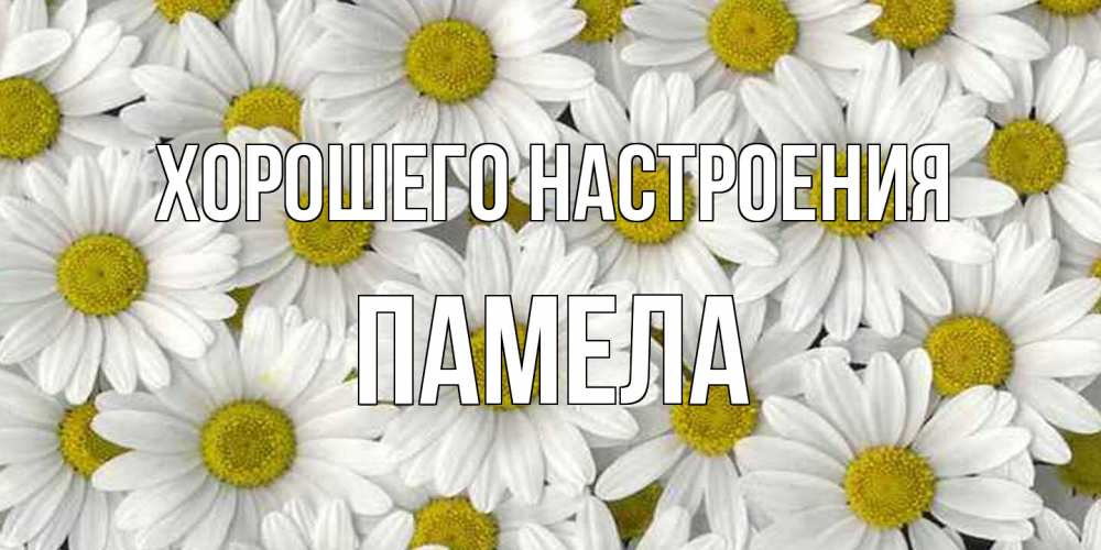 Открытка на каждый день с именем, Памела Хорошего настроения поляна ромашек Прикольная открытка с пожеланием онлайн скачать бесплатно 