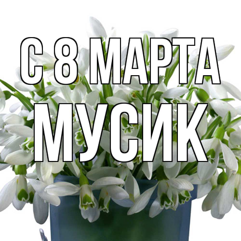 Открытка на каждый день с именем, мусик C 8 МАРТА цветы к международному женскому дню Прикольная открытка с пожеланием онлайн скачать бесплатно 