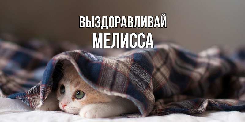 Картинка Выздоравливай, Мелисса