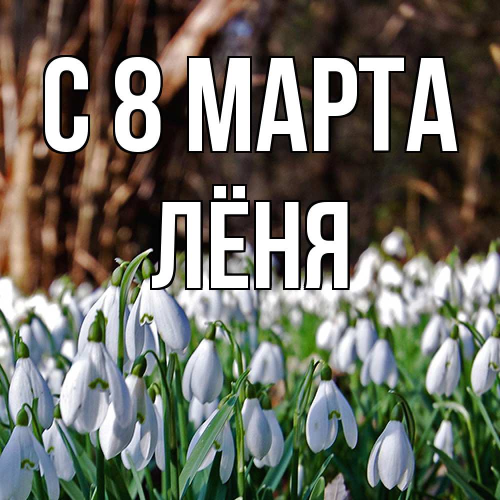 Открытка на каждый день с именем, Лёня C 8 МАРТА с подснежниками 1 Прикольная открытка с пожеланием онлайн скачать бесплатно 