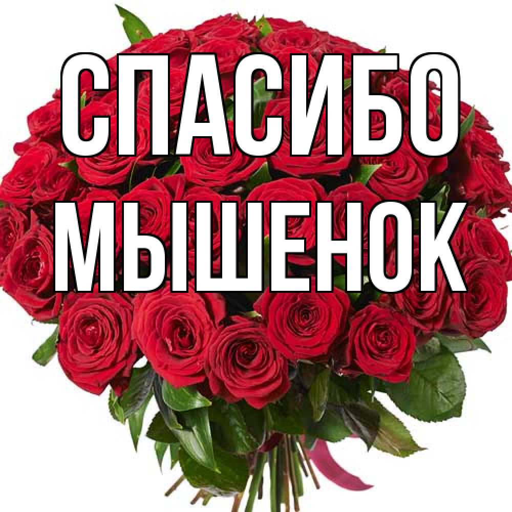Открытка на каждый день с именем, Мышенок Спасибо букет красных роз Прикольная открытка с пожеланием онлайн скачать бесплатно 