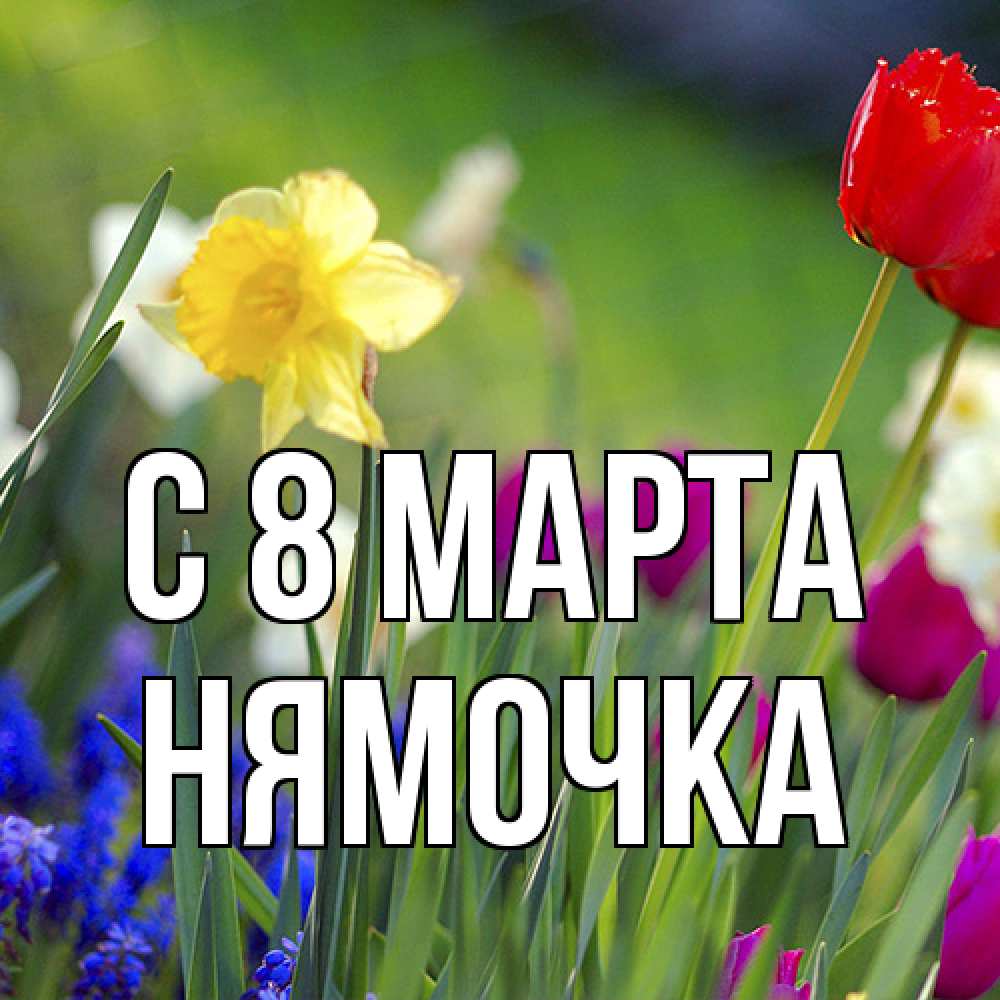 Открытка на каждый день с именем, нямочка C 8 МАРТА международный женский день 3 Прикольная открытка с пожеланием онлайн скачать бесплатно 