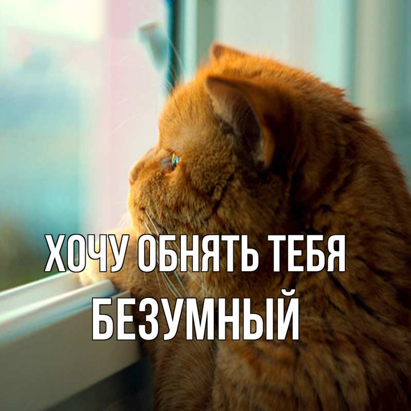 Открытка с именем, Безумный, Хочу обнять тебя