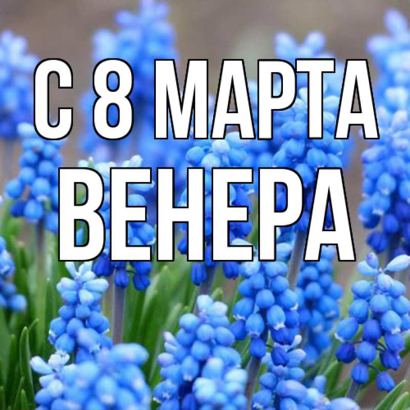 Картинка C 8 МАРТА, Венера