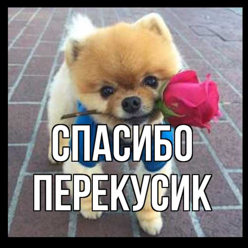 Картинка Спасибо, Перекусик