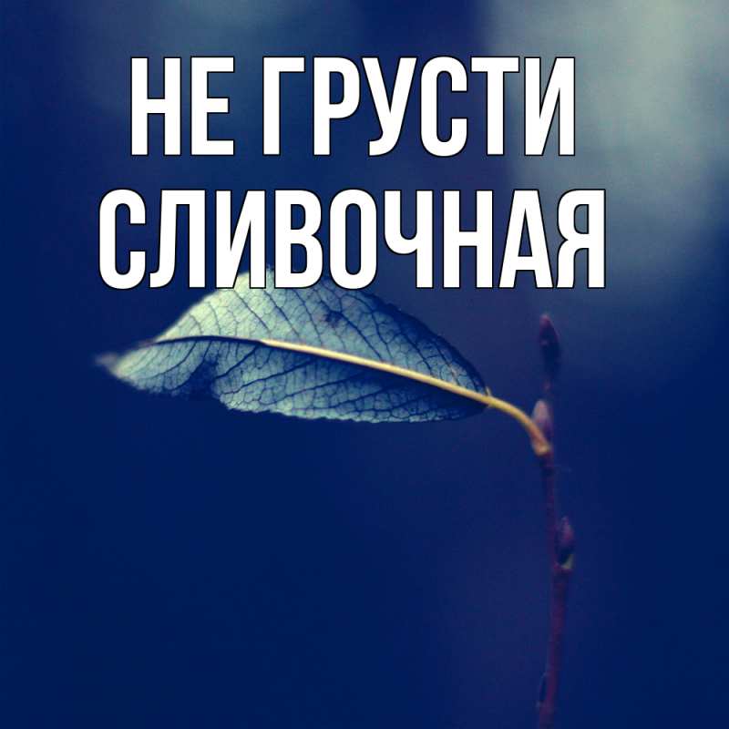 Картинка Не грусти, Сливочная