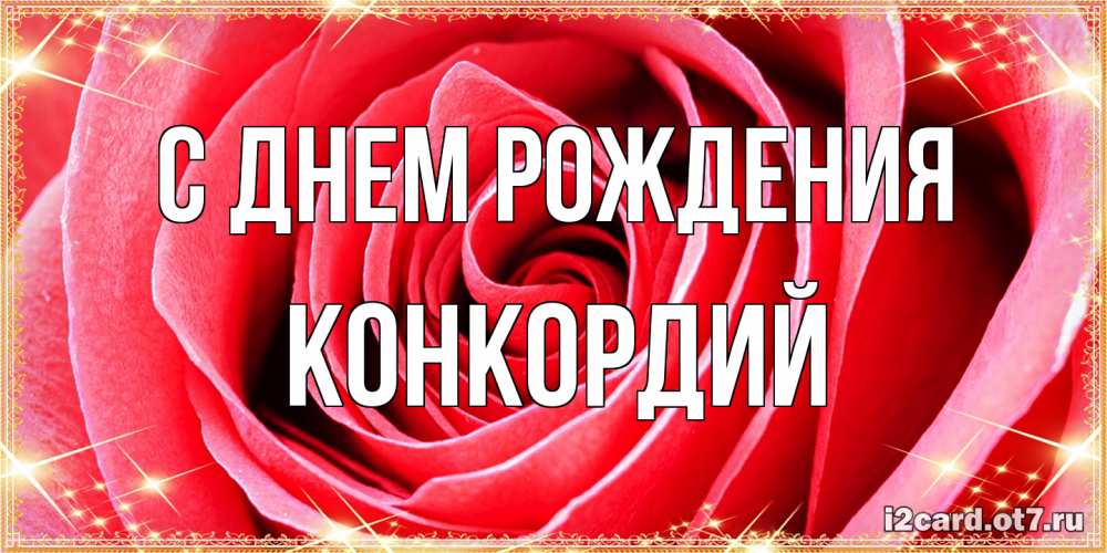 Открытка на каждый день с именем, Конкордий С днем рождения розовая роза очень крупный бутон Прикольная открытка с пожеланием онлайн скачать бесплатно 