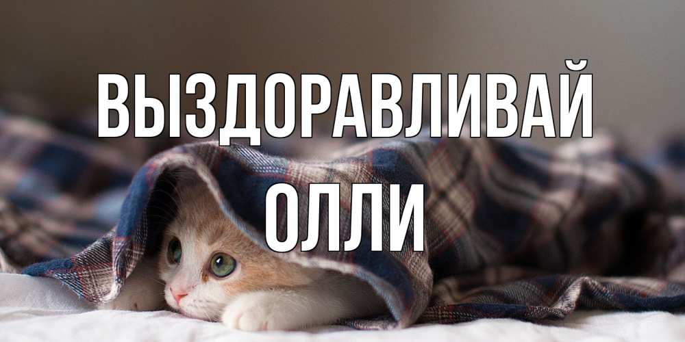 Открытка на каждый день с именем, Олли Выздоравливай не болейте с котиком Прикольная открытка с пожеланием онлайн скачать бесплатно 
