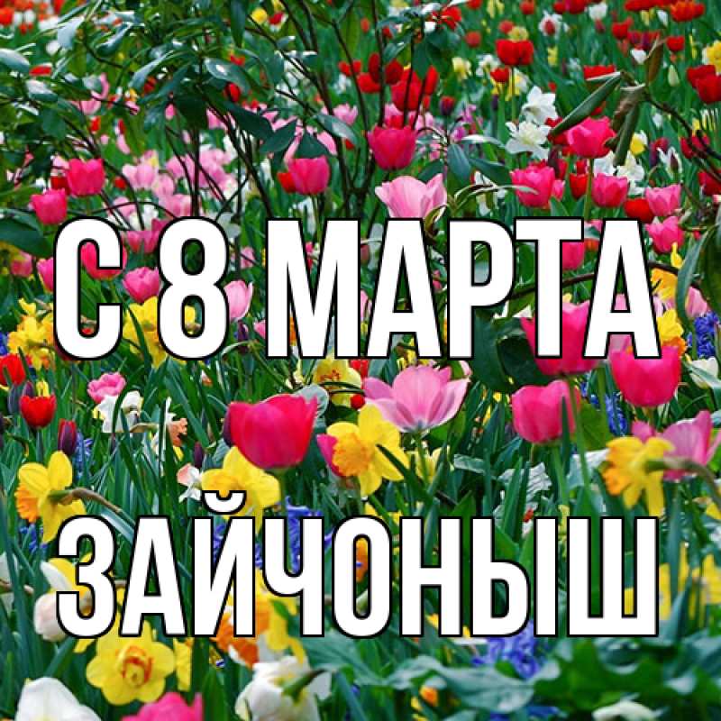 Картинка C 8 МАРТА, зайчоныш