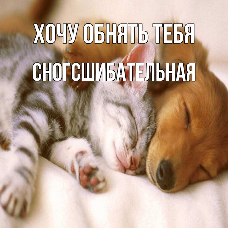Картинка Хочу обнять тебя, сногсшибательная