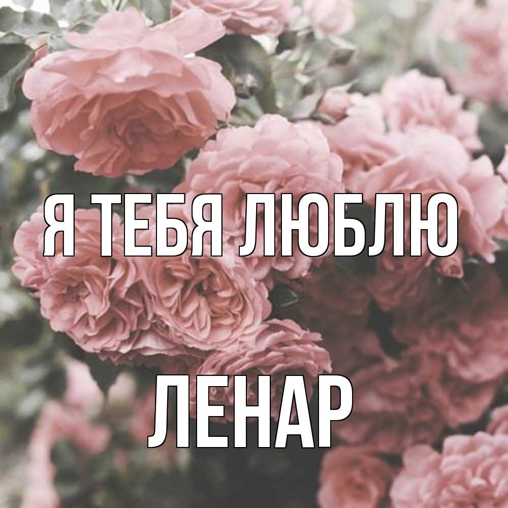 Открытка на каждый день с именем, Ленар Я тебя люблю розы 3 Прикольная открытка с пожеланием онлайн скачать бесплатно 
