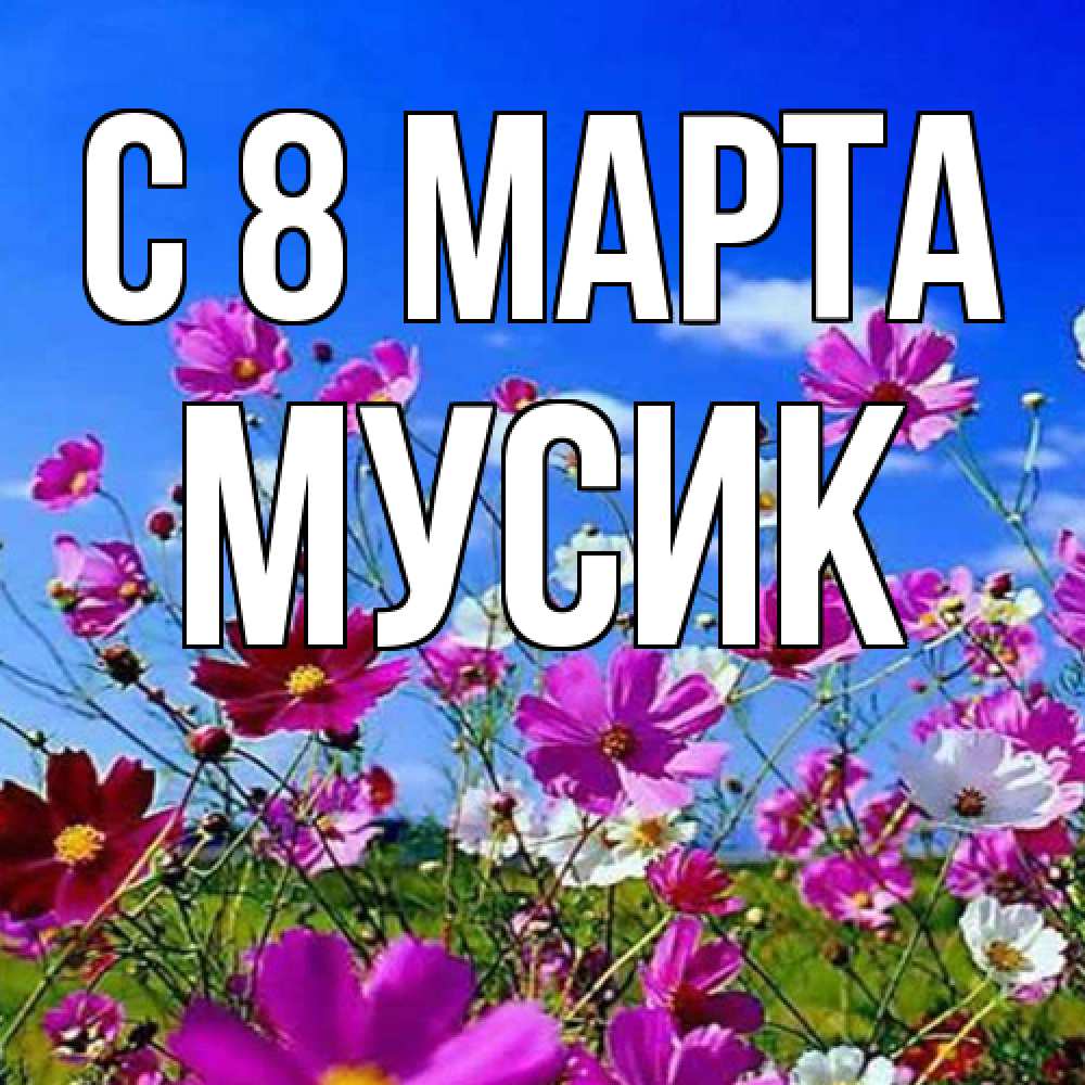 Открытка на каждый день с именем, мусик C 8 МАРТА цветы Прикольная открытка с пожеланием онлайн скачать бесплатно 