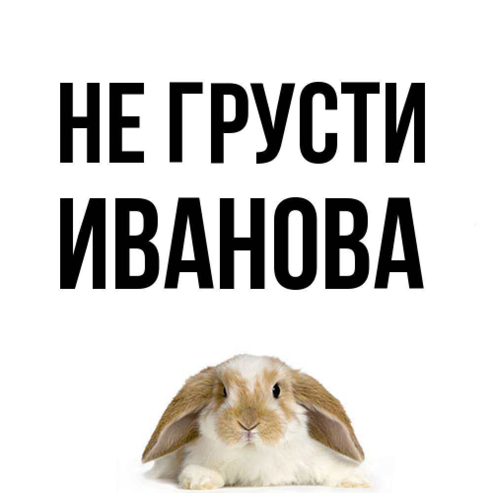 Открытка на каждый день с именем, Иванова Не грусти коричнево белый заяц с большими ушками Прикольная открытка с пожеланием онлайн скачать бесплатно 