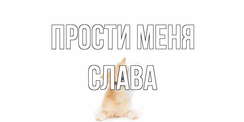 Открытка на каждый день с именем, Слава Прости меня кот Прикольная открытка с пожеланием онлайн скачать бесплатно 