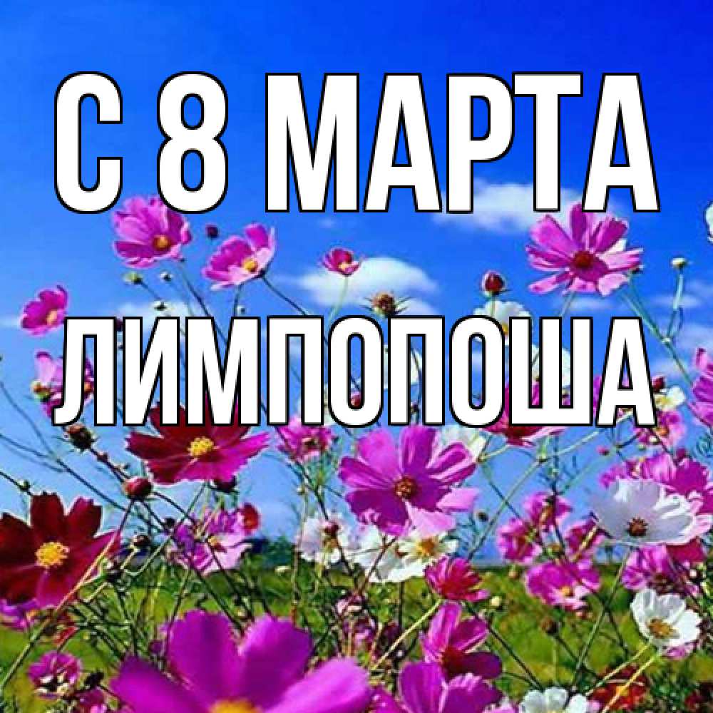 Открытка на каждый день с именем, лимпопоша C 8 МАРТА цветы Прикольная открытка с пожеланием онлайн скачать бесплатно 