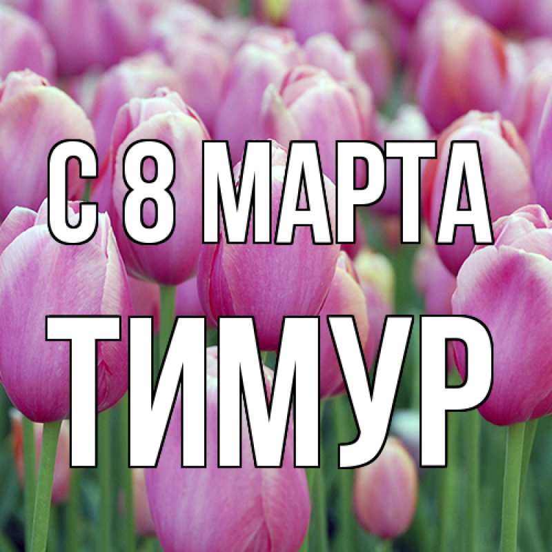 Картинка C 8 МАРТА, Тимур