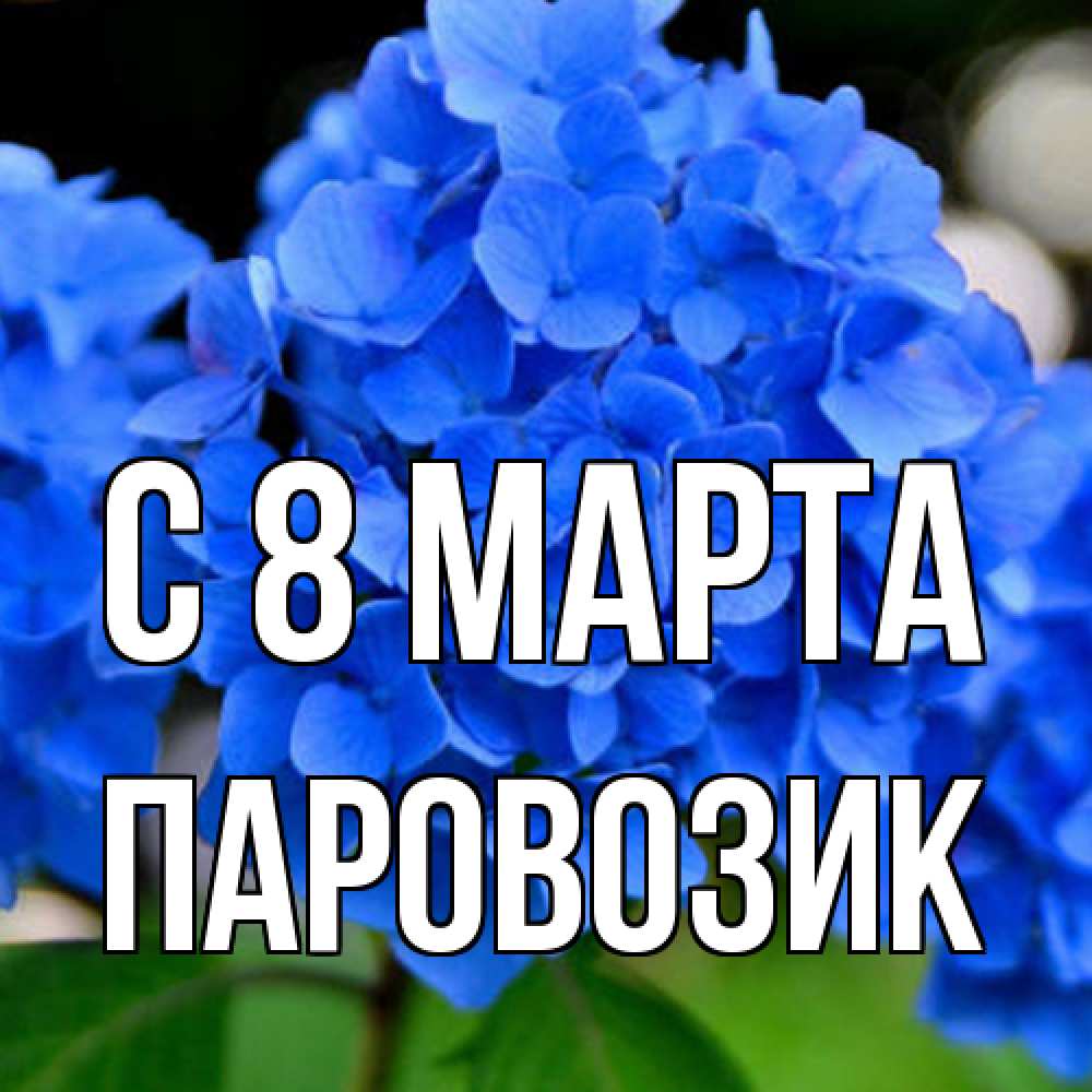 Открытка на каждый день с именем, паровозик C 8 МАРТА синие цветы Прикольная открытка с пожеланием онлайн скачать бесплатно 