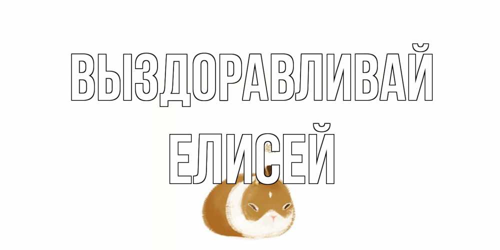 Открытка на каждый день с именем, Елисей Выздоравливай морская свинка на открытке с пожеланиями не болеть Прикольная открытка с пожеланием онлайн скачать бесплатно 