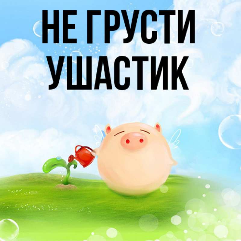 Картинка Не грусти, Ушастик