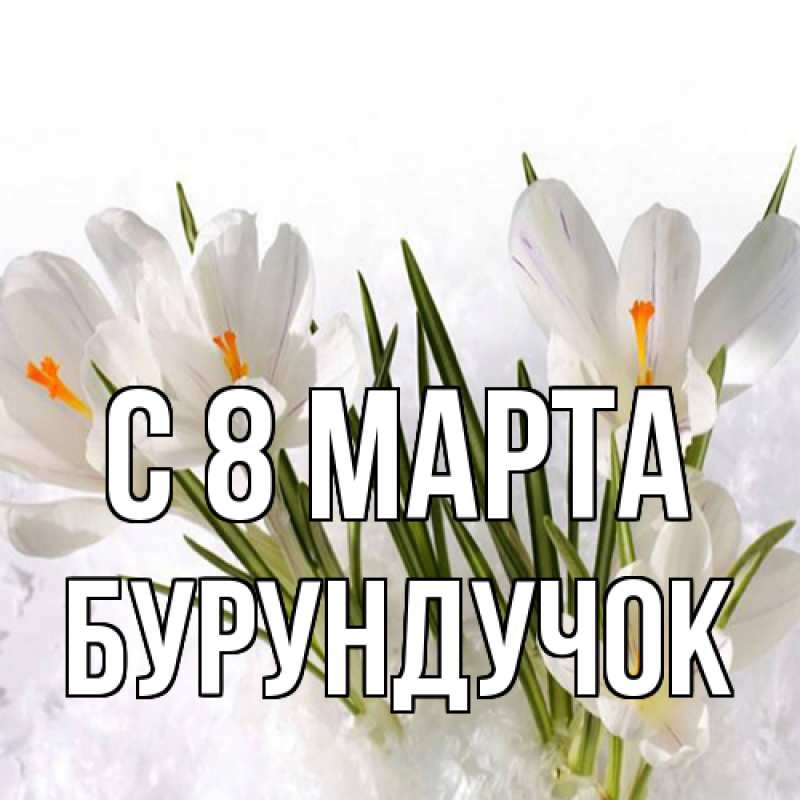 Картинка C 8 МАРТА, бурундучок