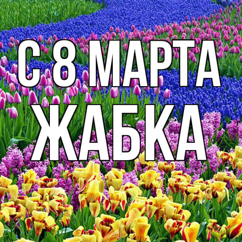 Картинка C 8 МАРТА, Жабка