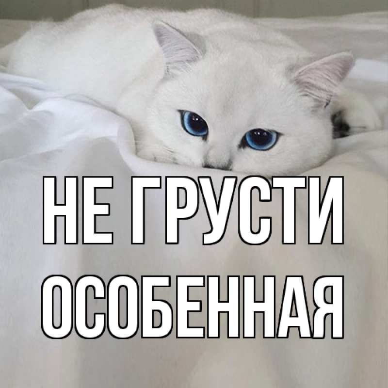 Картинка Не грусти, Особенная