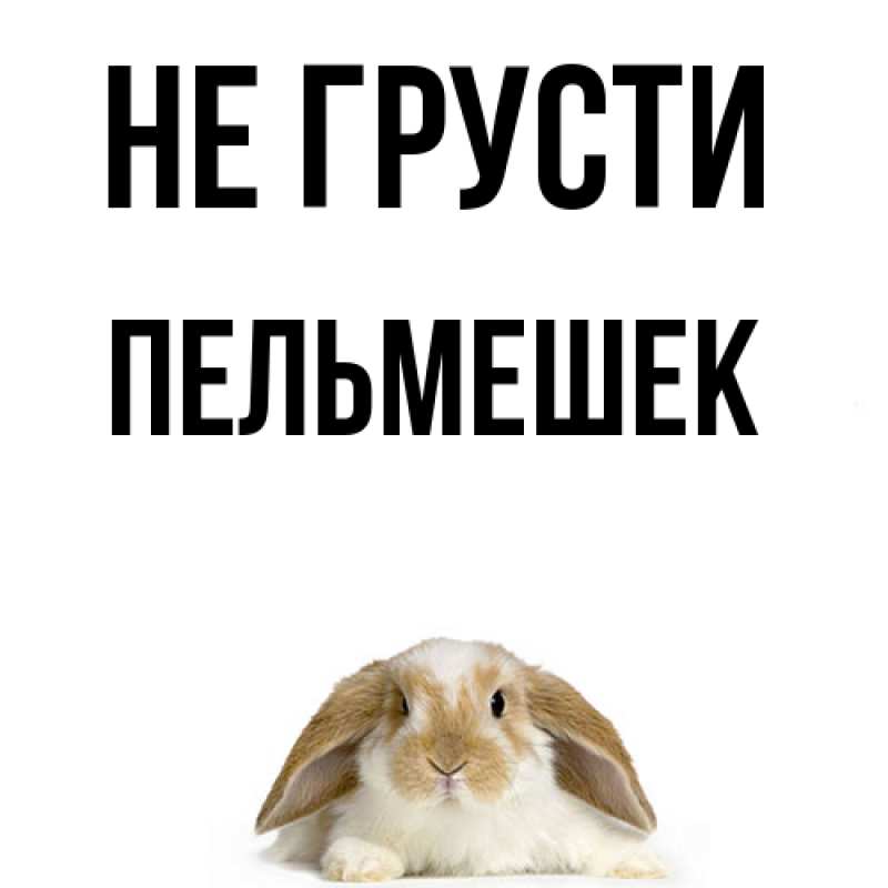 Картинка Не грусти, пельмешек